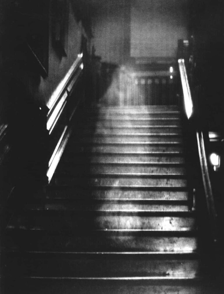 xxx 01 brown lady raynham hall